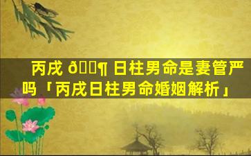 丙戌 🐶 日柱男命是妻管严吗「丙戌日柱男命婚姻解析」